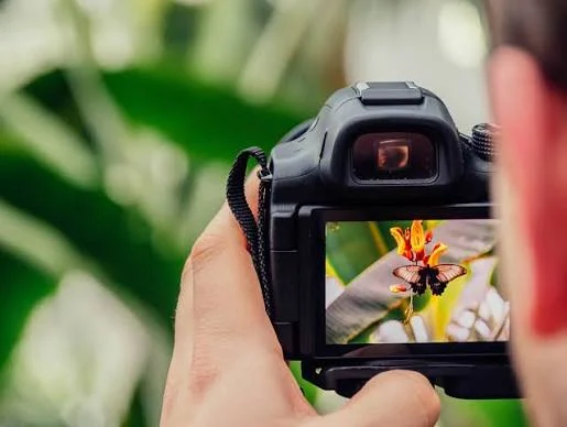 Sfaturi de fotografie pentru începători care te ajută să progresezi mai repede